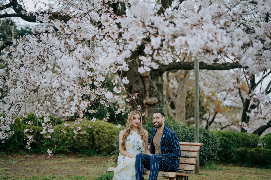 US Couple's Proposal in Tokyo Under Cherry Blossom Trees by Ghita on OneThreeOneFour 11