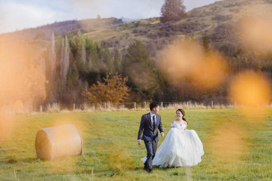 New Zealand Pre-Wedding Photoshoot At Coromandel Peak, Arrowtown And Alpaca Farm by Felix  on OneThreeOneFour 25