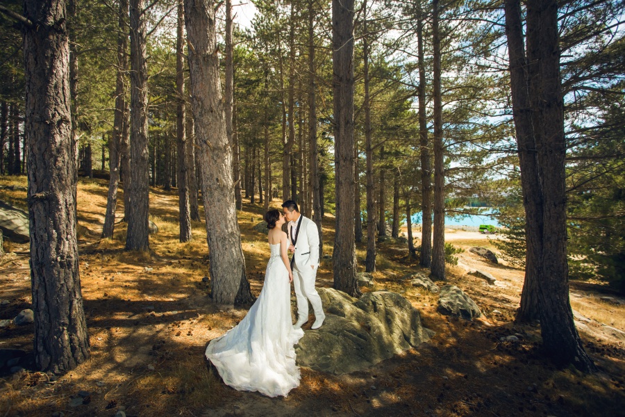 New Zealand Pre-Wedding Photoshoot At Christchurch, Lake Pukaki And Alpaca Farm  by Xing on OneThreeOneFour 20