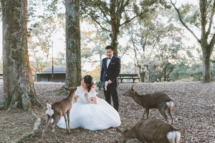 E&L: Kyoto Pre-wedding Photoshoot at Nara Park and Gion District by Jia Xin on OneThreeOneFour 14