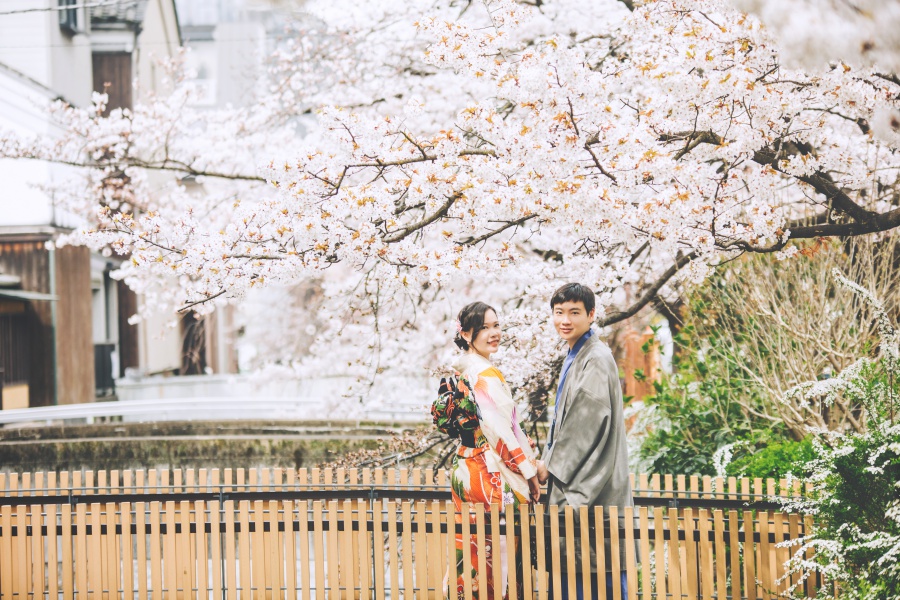 Japan Kyoto Kimono Photoshoot At Gion District During Cherry Blossom Season  by Shu Hao  on OneThreeOneFour 1