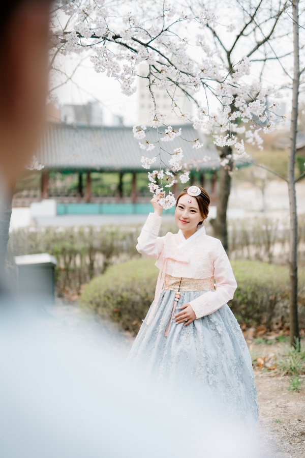C&J: Korea Spring Pre-wedding Photoshoot with Hanbok at Namsangol Hanok Village and Nami Island by Jungyeol on OneThreeOneFour 1