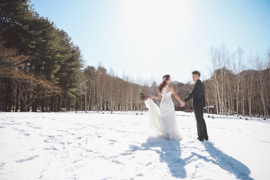 Korea Winter Pre-Wedding Photoshoot At Nami Island by Beomsoo on OneThreeOneFour 4
