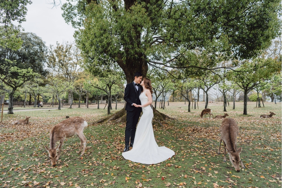 Kyoto Pre-Wedding Photoshoot with Eikando Temple, Mt Wakakusa, and Nara Deer Park by Kinosaki on OneThreeOneFour 24