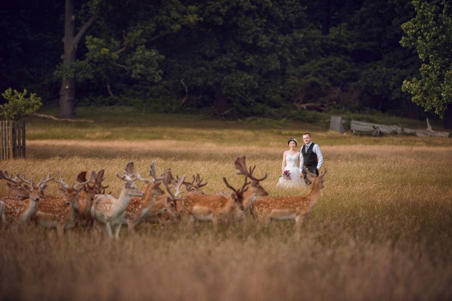 London Pre-Wedding Photoshoot At Abandoned Church Ruins And Richmond Park  by Dom on OneThreeOneFour 16