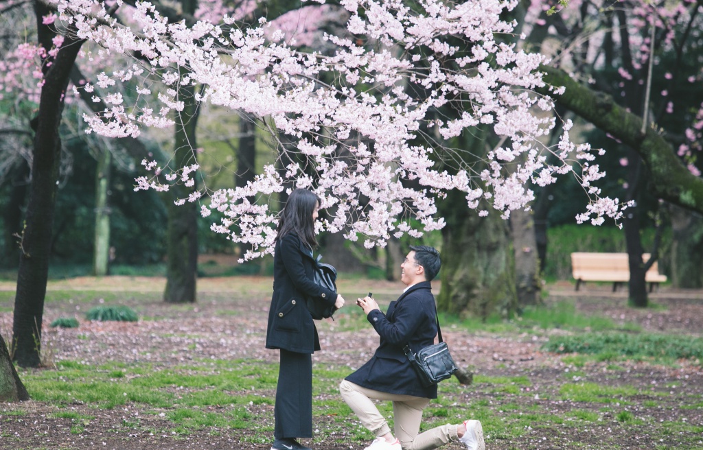 Japan Tokyo Casual Couple Photoshoot And Surprise Proposal With Cherry Blossom by Hiro  on OneThreeOneFour 0