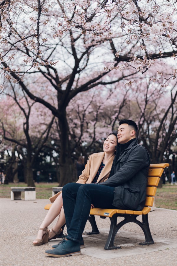 V&A: Cherry Blossom Proposal Photoshoot in Tokyo by Lenham on OneThreeOneFour 13