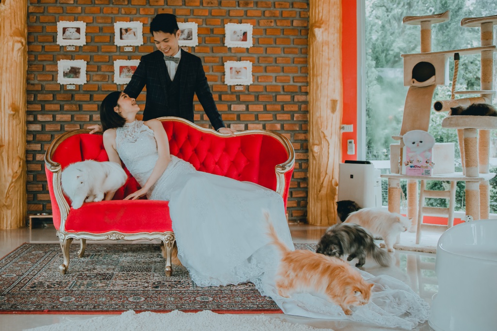 Pre-Wedding Photoshoot In Bangkok At Chinatown And Alpaca Hill Farm  by Por  on OneThreeOneFour 12