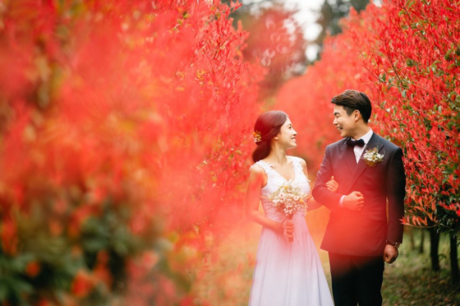 Korea Outdoor Pre-Wedding Photoshoot At Jeju Island During Spring by Gamsung  on OneThreeOneFour 10