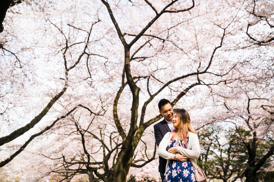 Japan Tokyo Surprise Proposal Photoshoot At Shinjuku Gyoen During Cherry Blossom Season by Koki on OneThreeOneFour 10