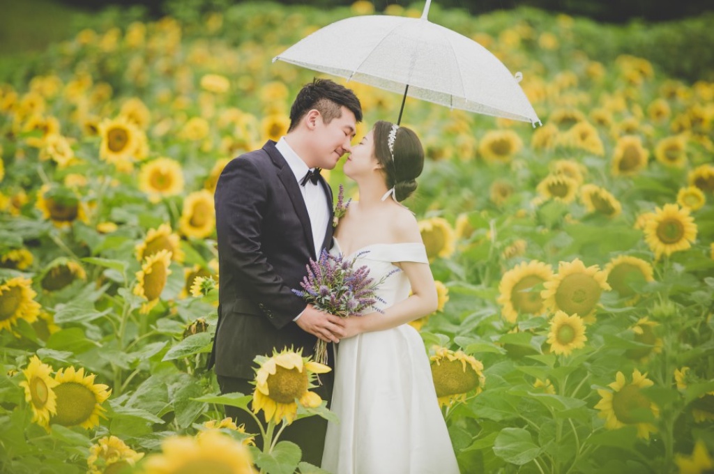 Korea Outdoor Pre-Wedding Photoshoot At Sunflower Field During Summer  by Ray  on OneThreeOneFour 0