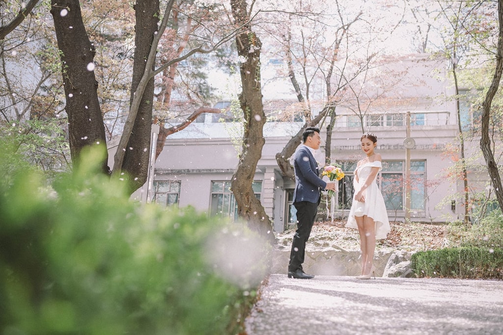korea seoul forest pre wedding cherry blossoms