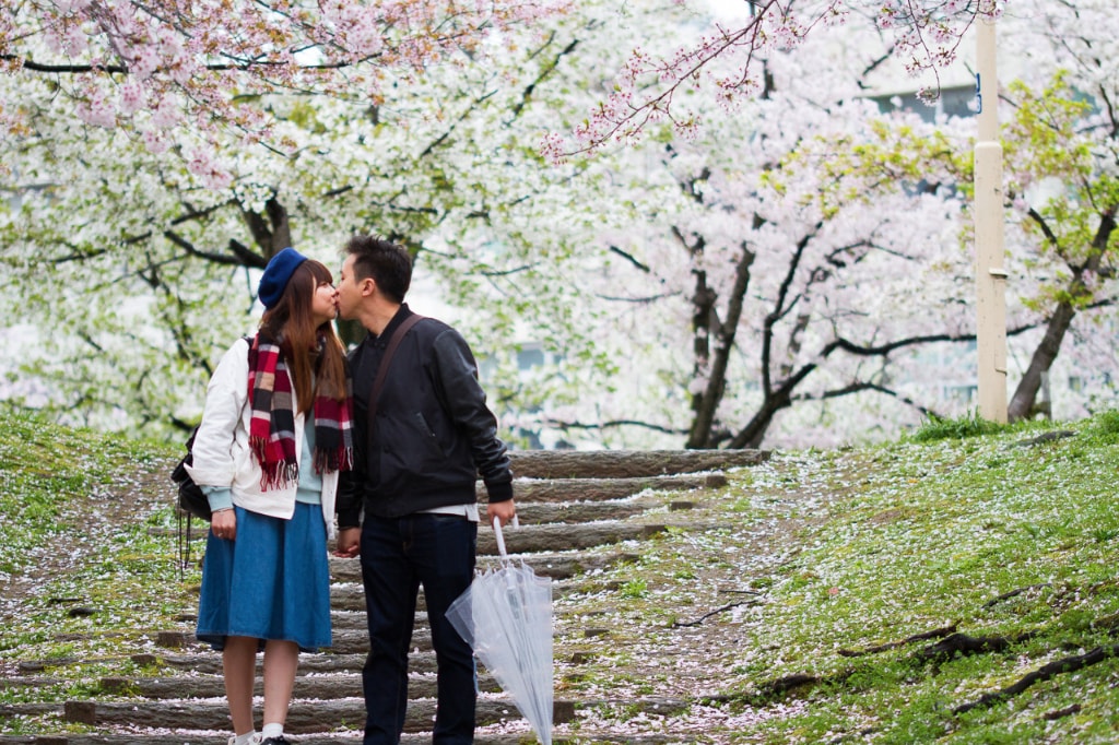osaka proposal cherry blossoms