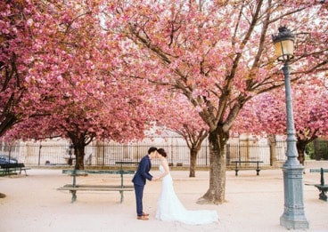 Cherry Blossom Girls