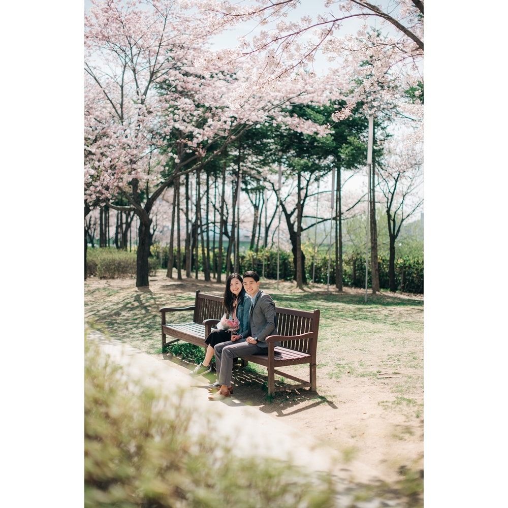 proposal in seoul seonyundo park under the cherry blossom