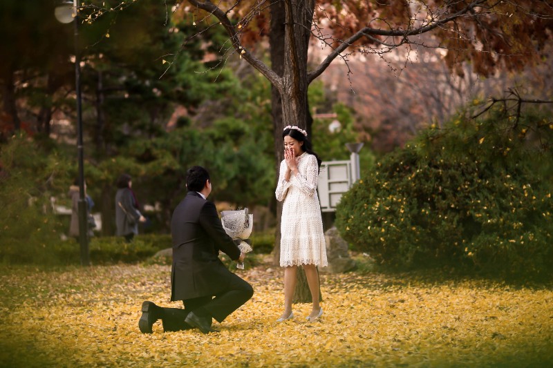 Autumn surprise proposal on Government Island