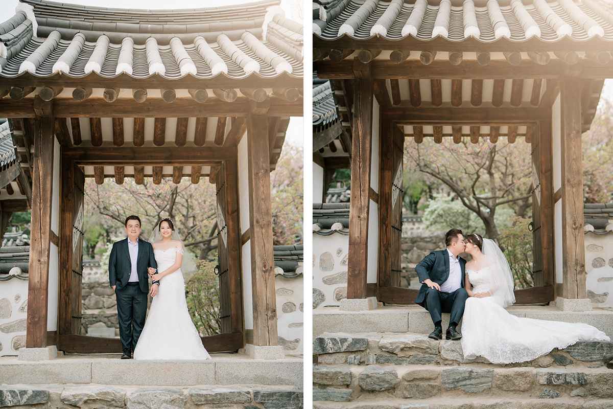 Cherry Kiss: Capturing Love Amidst Seoul's Cherry Blossoms by Jungyeol on OneThreeOneFour 16