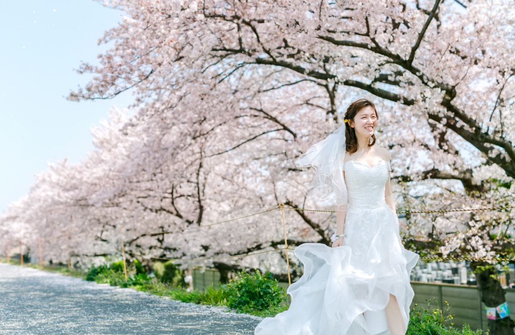 Japan Tokyo Pre-Wedding Photoshoot At The Park With Cherry Blossoms  by Jin on OneThreeOneFour 9
