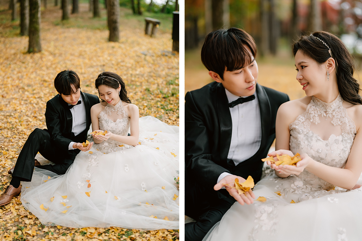 Korea Nami Island Romantic Autumn Pre-Wedding Photoshoot by Jungyeol on OneThreeOneFour 5