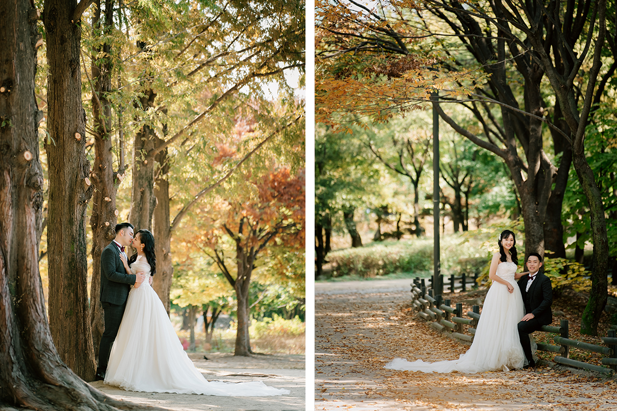 Yellow Gingko Autumn Pre-Wedding in Korea - Seoul Forest, Namsamgol Hanok Village & Samcheong-dong Cafe Street by Jungyeol on OneThreeOneFour 4