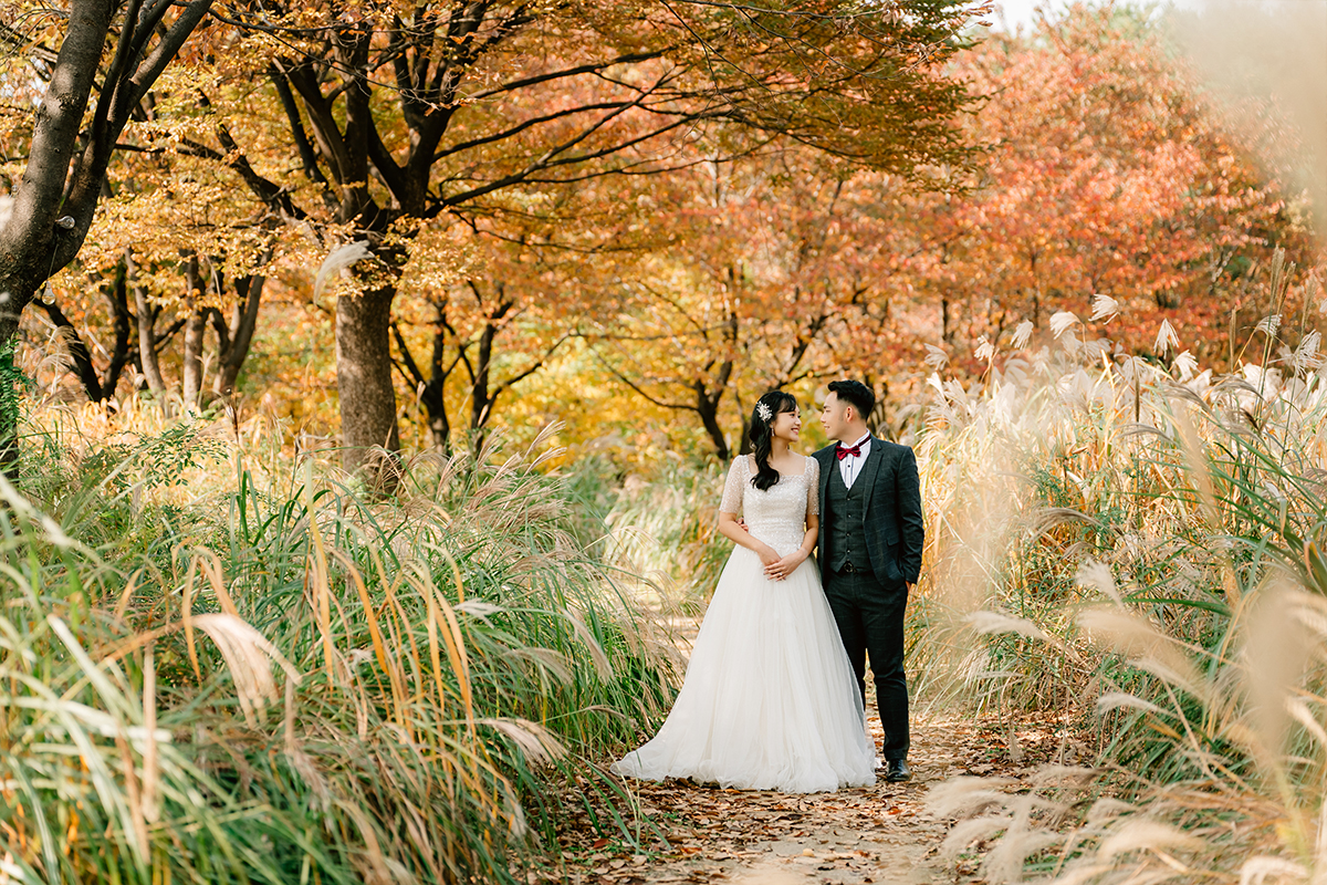 Yellow Gingko Autumn Pre-Wedding in Korea - Seoul Forest, Namsamgol Hanok Village & Samcheong-dong Cafe Street by Jungyeol on OneThreeOneFour 9