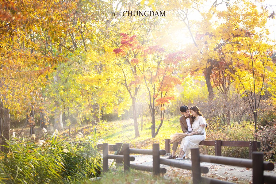2018 Seasonal Album by Chungdam Studio on OneThreeOneFour 22