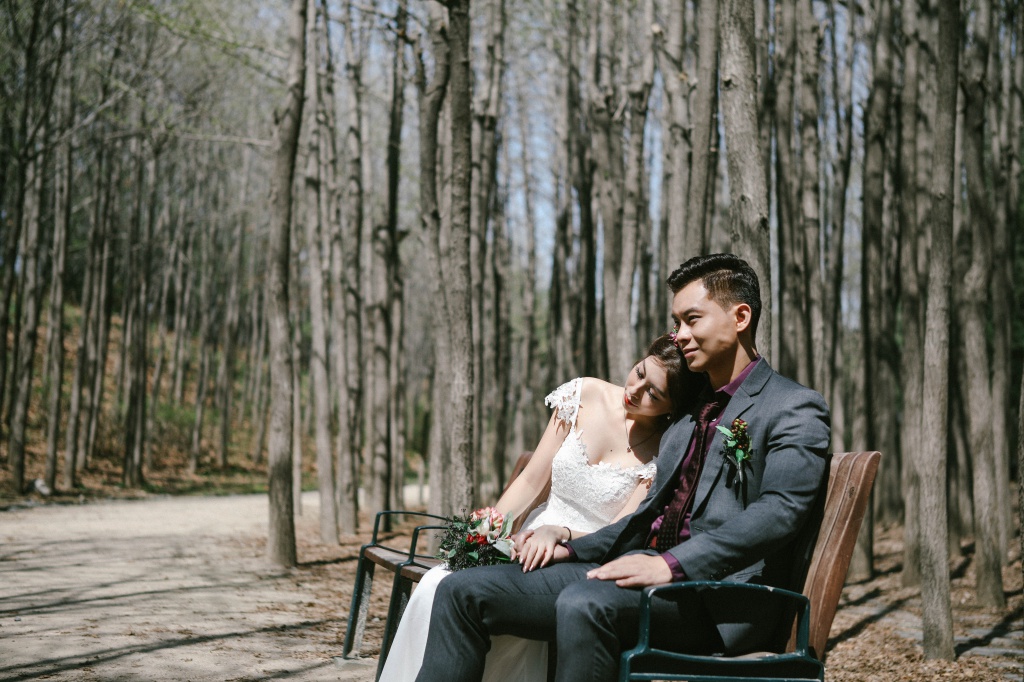 Korea Cherry Blossom Pre-Wedding Photoshoot At Seoul Forest  by Beomsoo on OneThreeOneFour 1