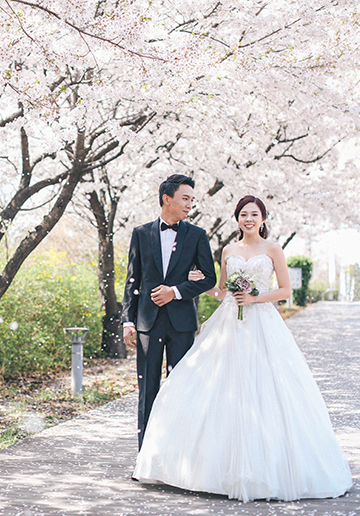 M: Korea Cherry Blossom Pre-Wedding Photoshoot At Seoul Forest With During Spring