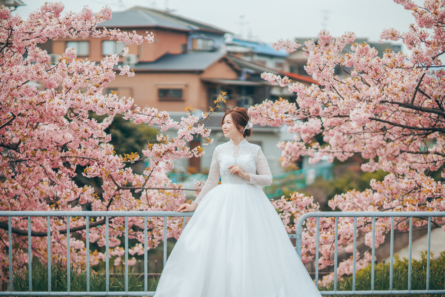 E&V: Kyoto Spring Cherry Blossoms Pre-wedding Photoshoot by Kinosaki on OneThreeOneFour 10