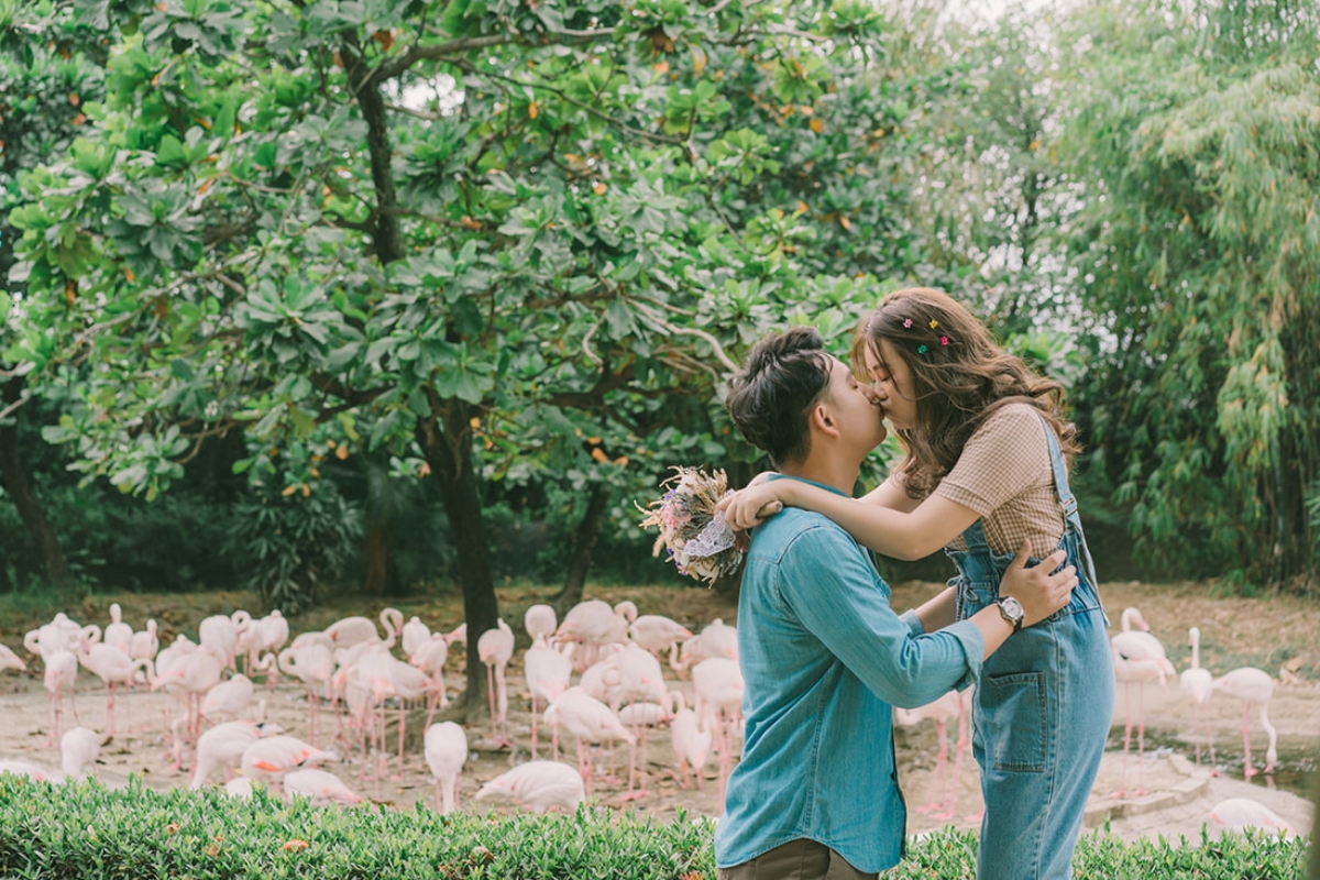 Taiwan Pre-Wedding Photoshoot Pier Blue Skies Animal Farm Flamingos Capybaras Llamas Autumn Leaves by  on OneThreeOneFour 11