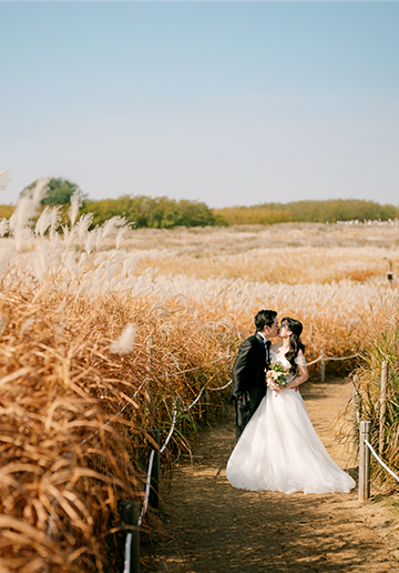 Korea Seoul Autumn Pre-Wedding Photoshoot with Silvergrass at Hanuel Park & Seonyudo Park