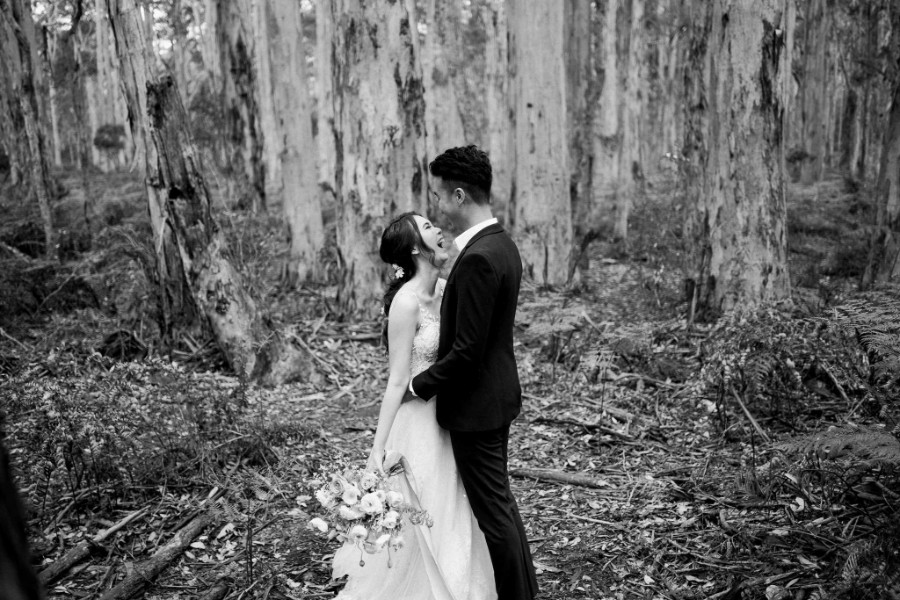J&C: Perth Pre-wedding at Boranup Forest, Hamelin Bay, Wilyabrup Sea Cliffs & Sugarloaf Rock by Jimmy on OneThreeOneFour 2