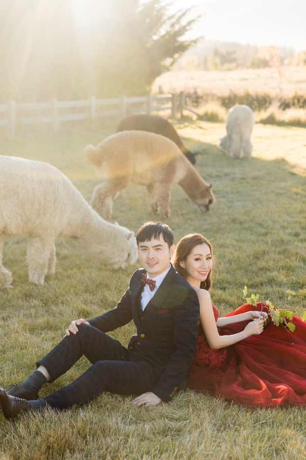 A&D: New Zealand Pre-wedding Photoshoot in Autumn by Felix on OneThreeOneFour 25