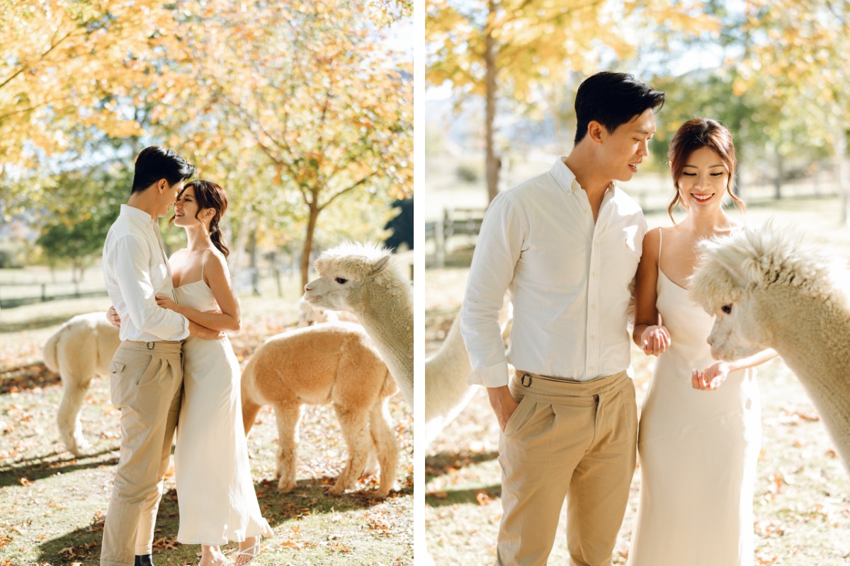 New Zealand Autumn Pre-Wedding Photoshoot Twin Peak Skippers Canyon Alpaca Farm Hilltop Cardrona Night Shoot Kombi Van by Fei on OneThreeOneFour 20