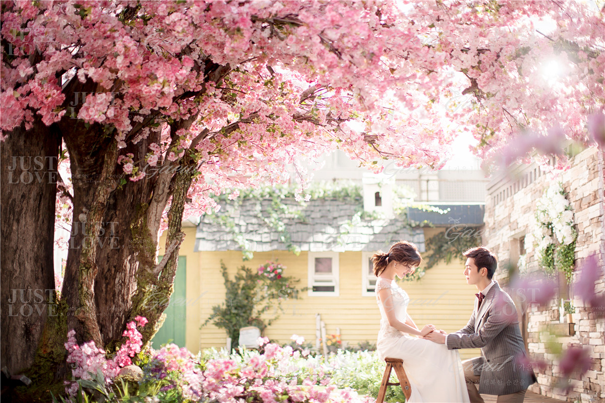 Korean Studio Pre-Wedding Photography: Floral by Gaeul Studio on OneThreeOneFour 0