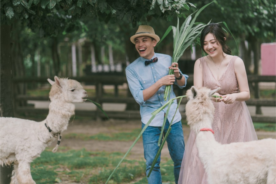 Taiwan Tainan Zoo Qi Gu Salt Mountain Prewedding Photoshoot by Star on OneThreeOneFour 4