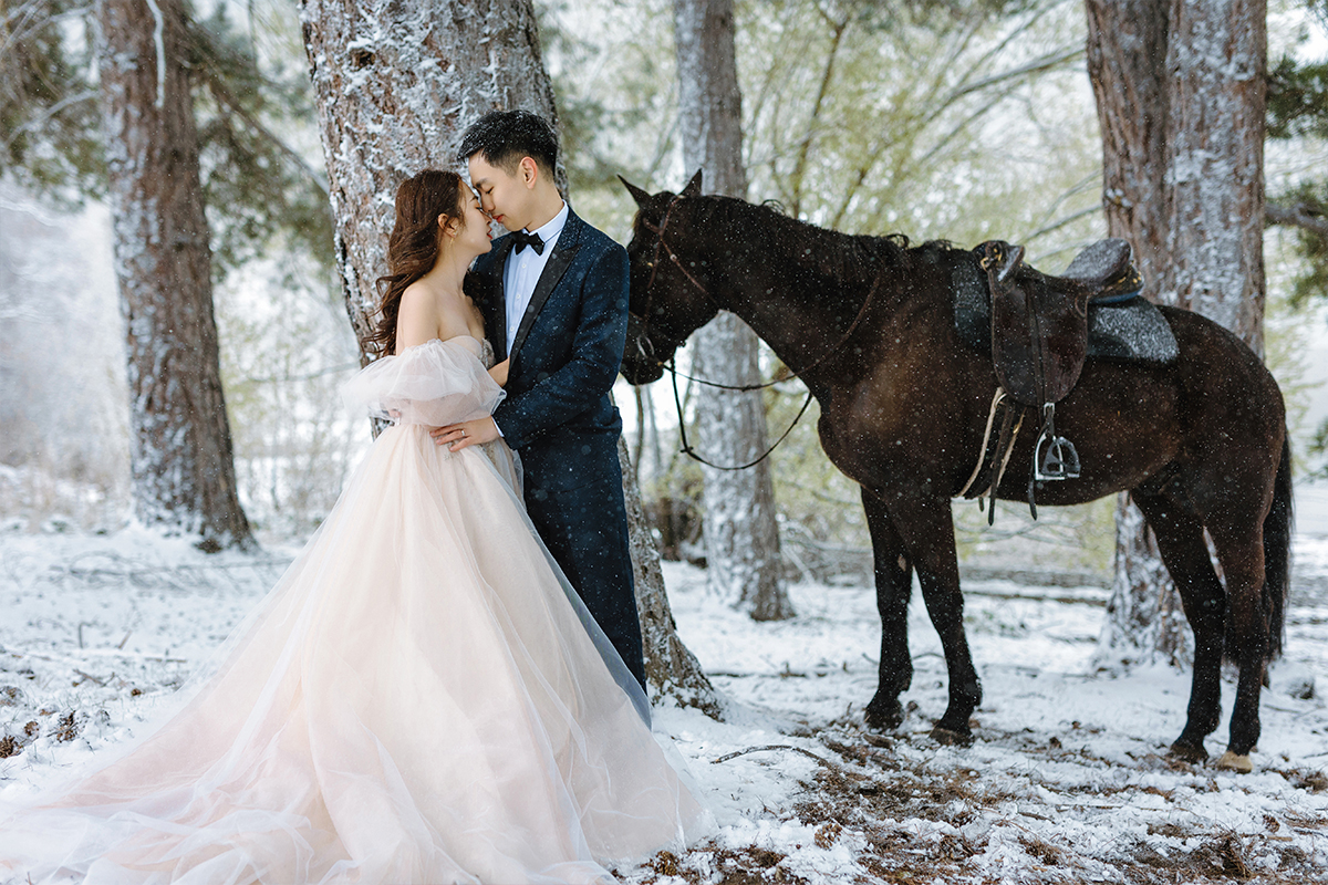 2-Day New Zealand Winter Fairytale Themed Pre-Wedding Photoshoot with Horse and Glaciers and Snow Mountains by Fei on OneThreeOneFour 10