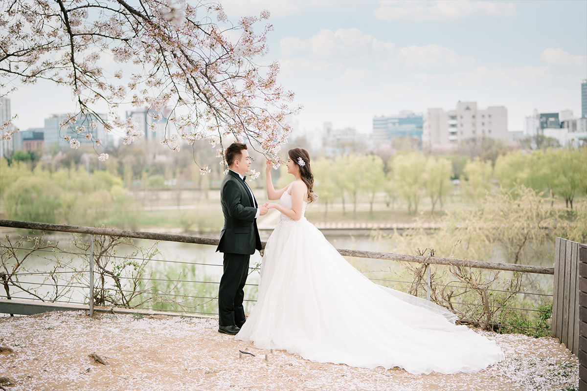 Cherry Kiss: Capturing Love Amidst Seoul's Cherry Blossoms by Jungyeol on OneThreeOneFour 7