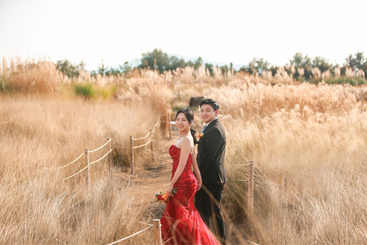 濟州婚前拍攝 - 在西北小丘、茶花山植物園和海雲台海灘 by Byunghyun on OneThreeOneFour 9