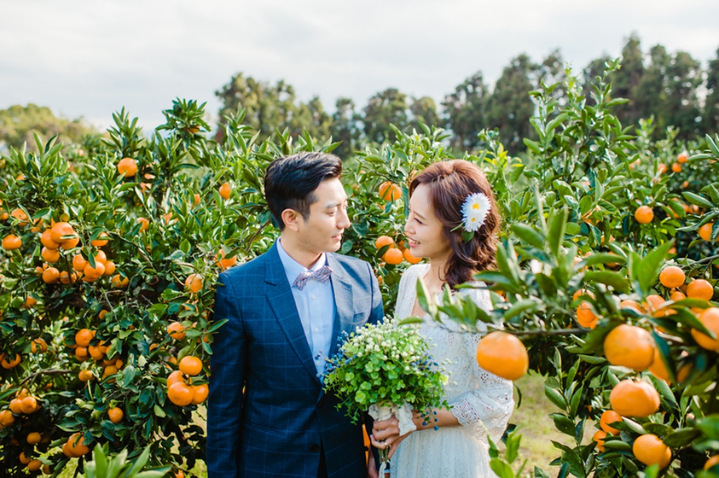 Korea Jeju Island Outdoor Pre-Wedding Photoshoot At Tangerine Farm  by Ray  on OneThreeOneFour 12