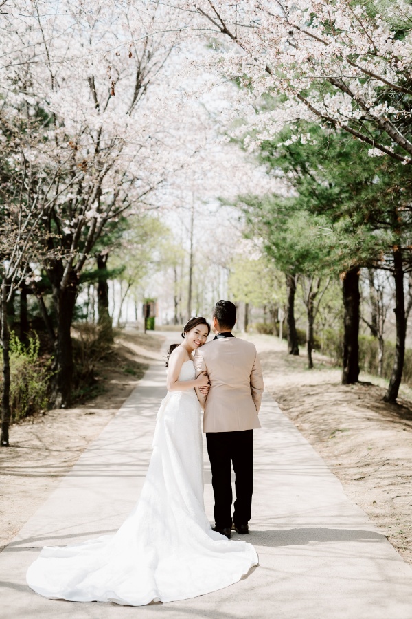 T&J: Korea Cherry Blossom Pre-wedding Photoshoot at Namsangol Hanok Village and Seoul Forest by Jungyeol on OneThreeOneFour 9