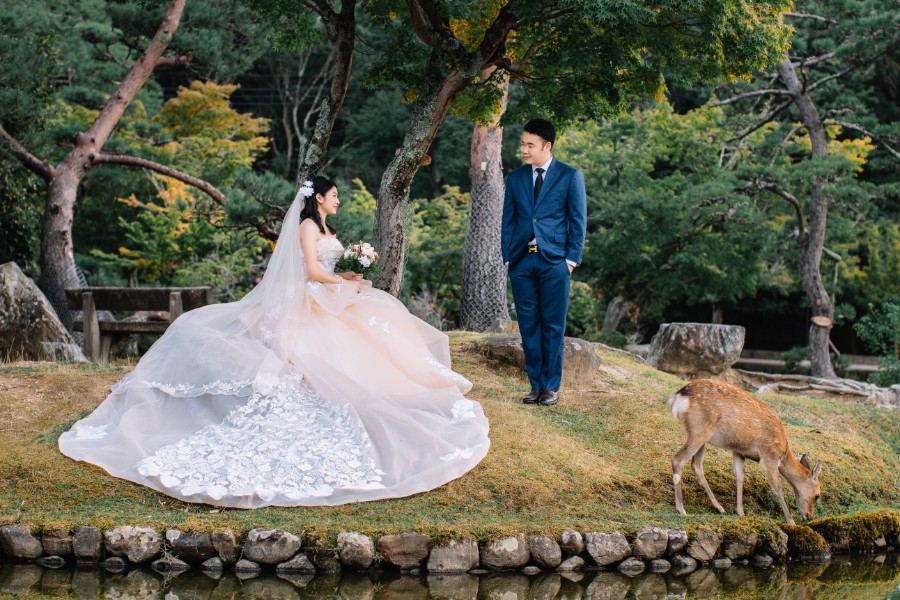 Japan Kyoto Pre-Wedding Photoshoot At Nara Deer Park, Fushimi Inari Shrine, Osaka Castle, Shinsekai and Shinsaibashi by Kinosaki  on OneThreeOneFour 15