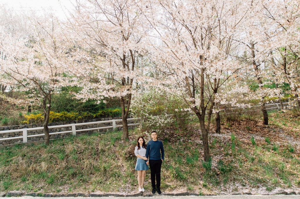 Korea Casual Couple Date Photoshoot At Seoul Forest by Jungyeol on OneThreeOneFour 0