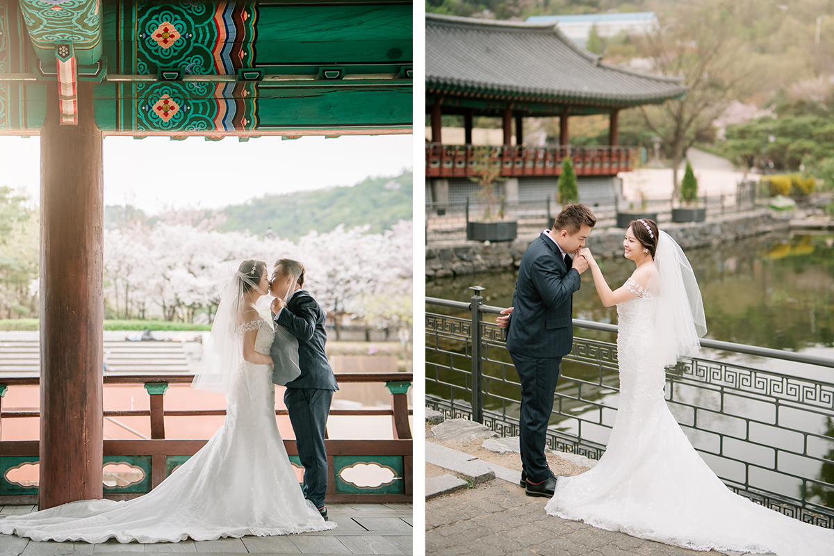 Cherry Kiss: Capturing Love Amidst Seoul's Cherry Blossoms by Jungyeol on OneThreeOneFour 29