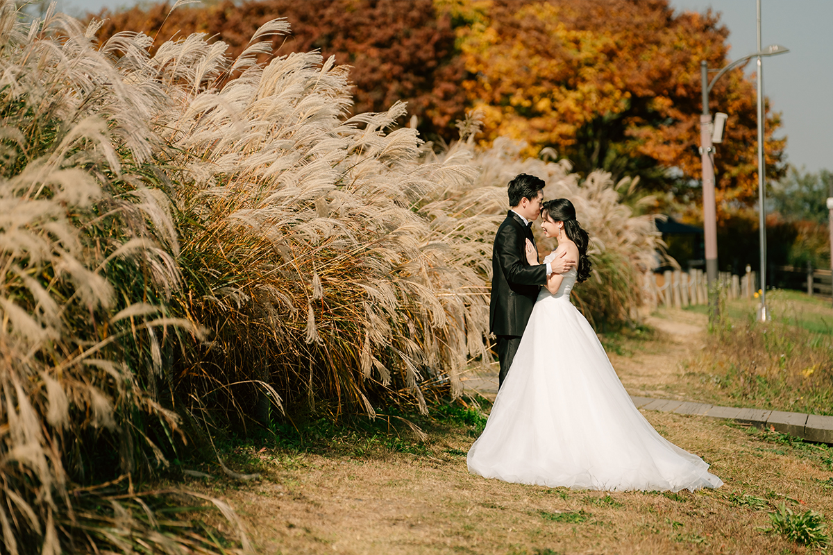 Korea Seoul Autumn Pre-Wedding Photoshoot with Silvergrass at Hanuel Park & Seonyudo Park by Jungyeol on OneThreeOneFour 7