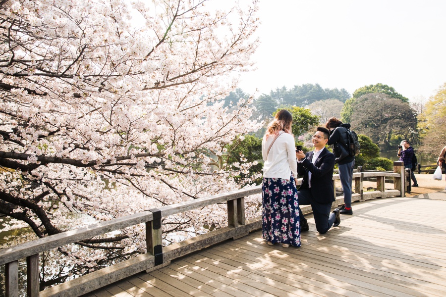 Japan Tokyo Surprise Proposal Photoshoot At Shinjuku Gyoen During Cherry Blossom Season by Koki on OneThreeOneFour 0