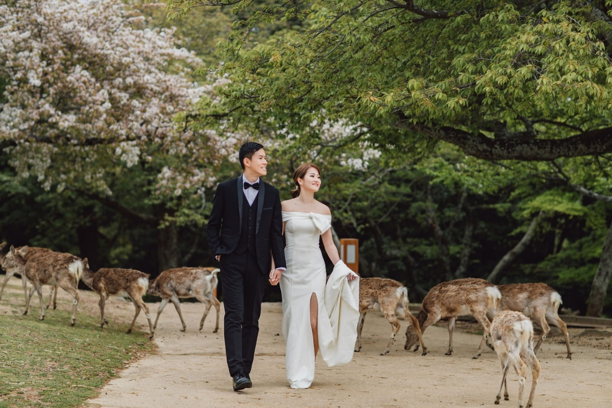 Kyoto Pre-Wedding Photoshoot with Eikando Temple, Mt Wakakusa, and Nara Deer Park by Kinosaki on OneThreeOneFour 28