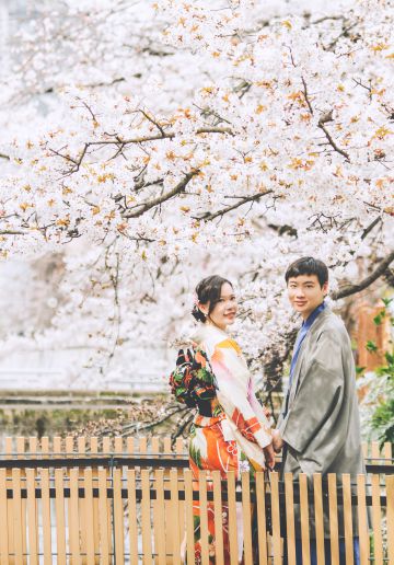 Japan Kyoto Kimono Photoshoot At Gion District During Cherry Blossom Season 