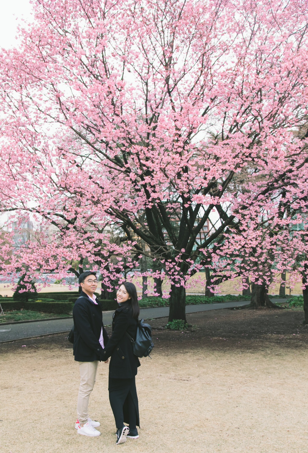 Japan Tokyo Casual Couple Photoshoot And Surprise Proposal With Cherry Blossom by Hiro  on OneThreeOneFour 24