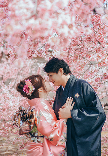 E&V: Kyoto Spring Cherry Blossoms Pre-wedding Photoshoot